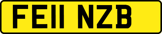 FE11NZB