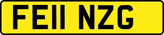 FE11NZG