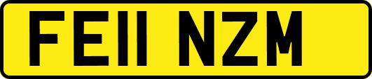 FE11NZM