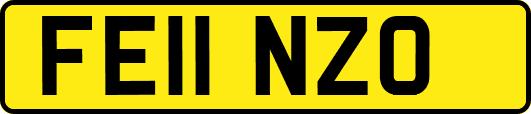 FE11NZO