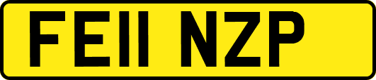 FE11NZP