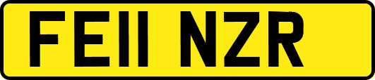 FE11NZR