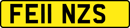 FE11NZS