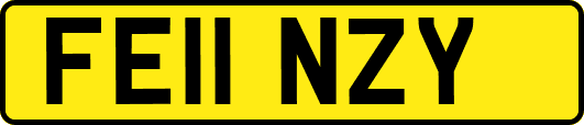 FE11NZY