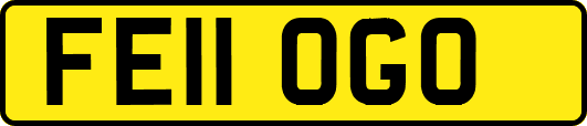 FE11OGO