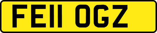 FE11OGZ