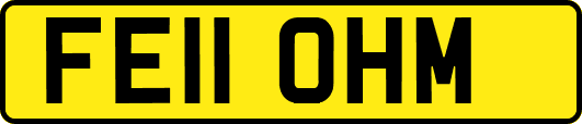 FE11OHM