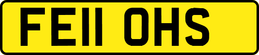 FE11OHS
