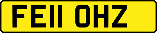 FE11OHZ