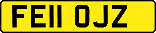 FE11OJZ