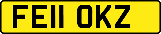 FE11OKZ