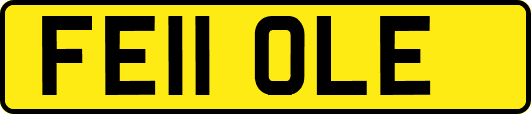 FE11OLE