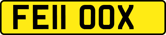 FE11OOX