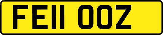 FE11OOZ