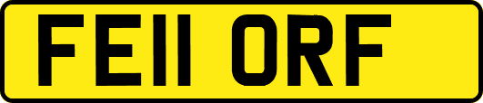 FE11ORF