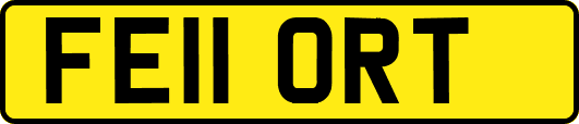 FE11ORT