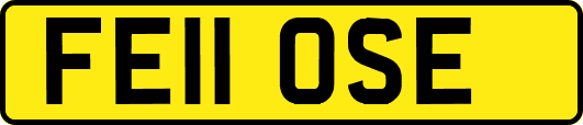 FE11OSE