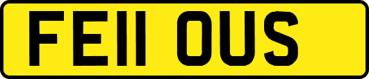 FE11OUS
