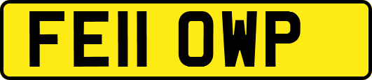 FE11OWP