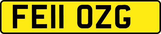 FE11OZG