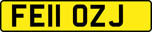 FE11OZJ