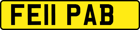 FE11PAB