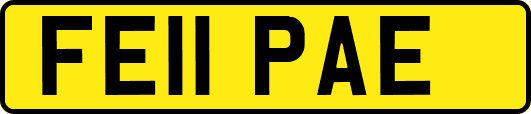 FE11PAE