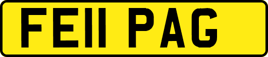 FE11PAG