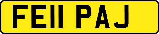 FE11PAJ