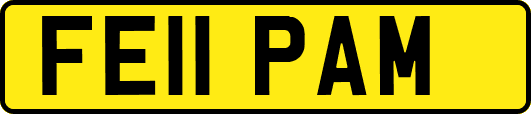 FE11PAM
