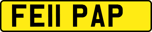 FE11PAP