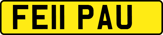 FE11PAU