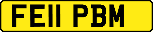 FE11PBM