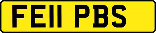 FE11PBS