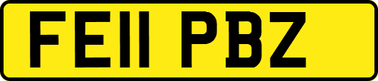 FE11PBZ