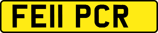 FE11PCR