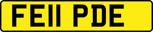 FE11PDE