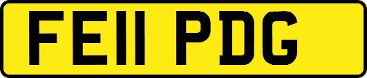 FE11PDG