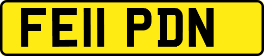 FE11PDN