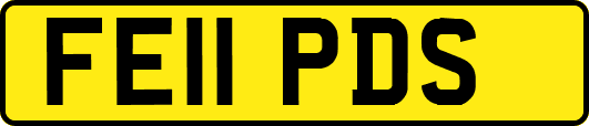 FE11PDS