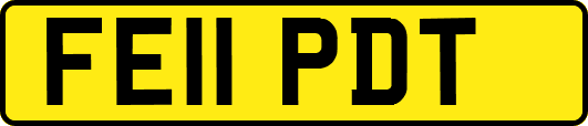 FE11PDT
