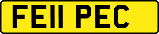 FE11PEC