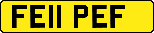 FE11PEF