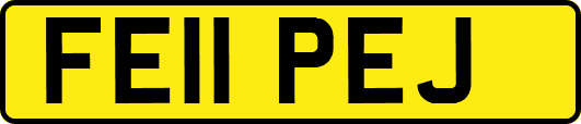 FE11PEJ