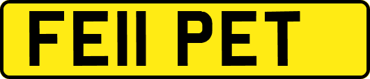 FE11PET