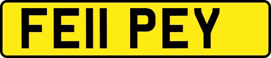 FE11PEY