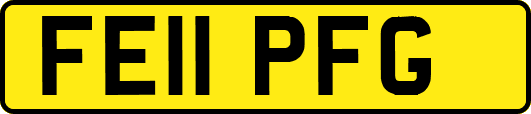 FE11PFG