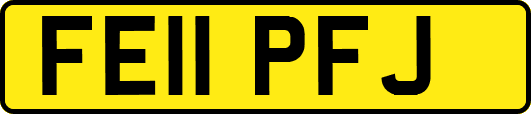 FE11PFJ
