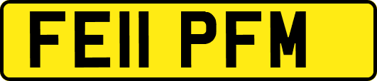 FE11PFM