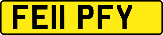 FE11PFY